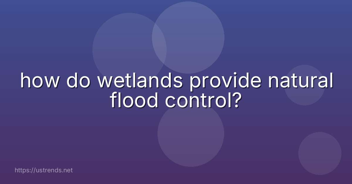 how do wetlands provide natural flood control?