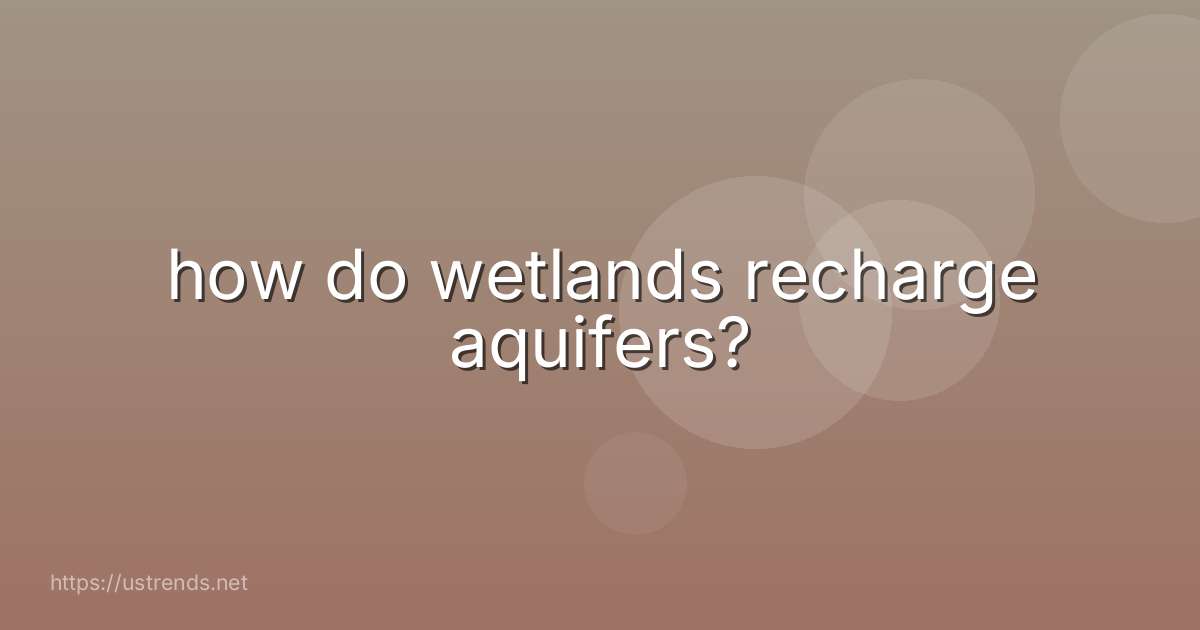 how do wetlands recharge aquifers?