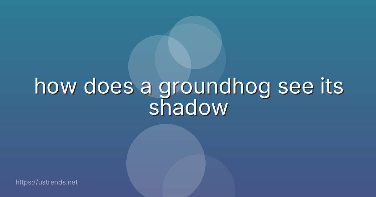 how does a groundhog see its shadow