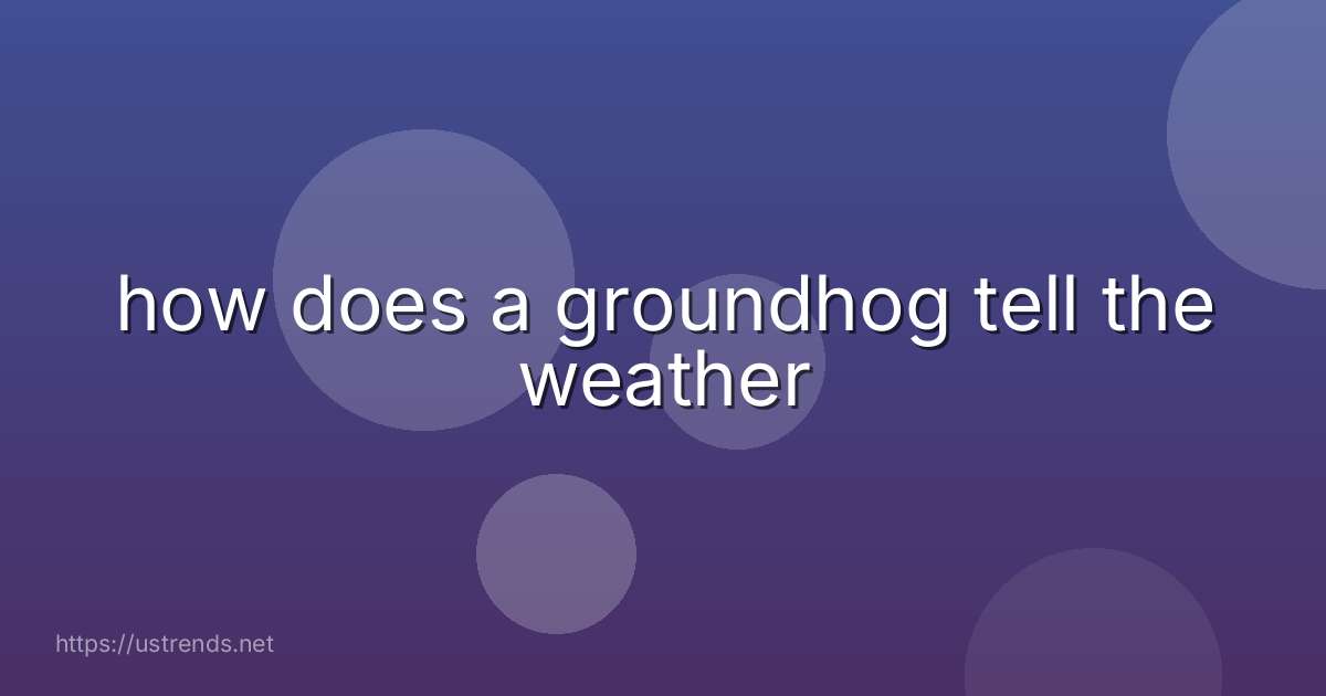 how does a groundhog tell the weather