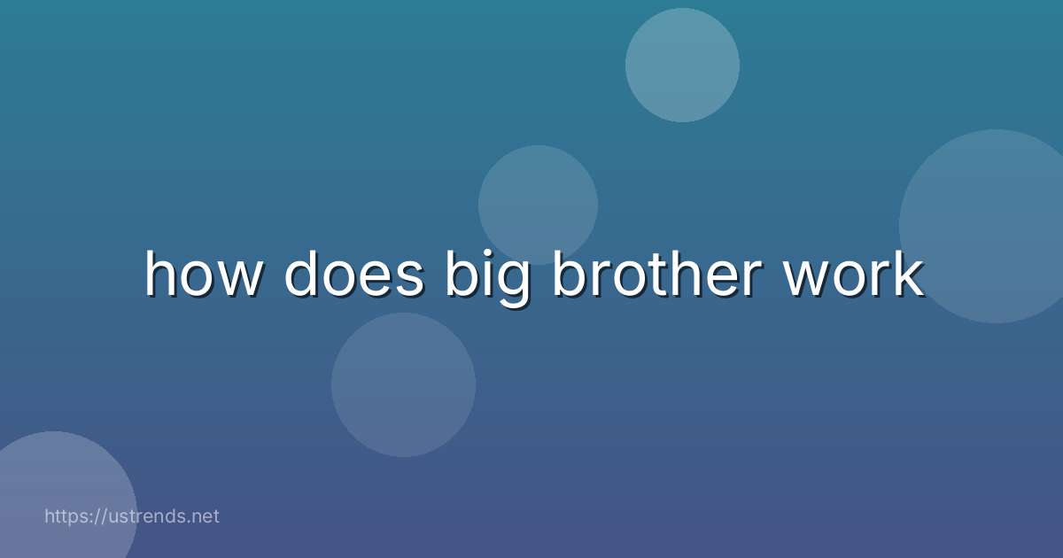how does big brother work
