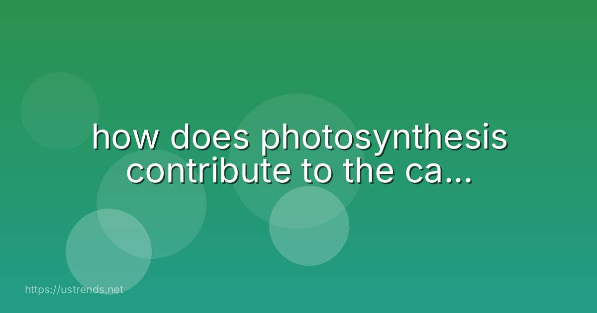 how does photosynthesis contribute to the ca...