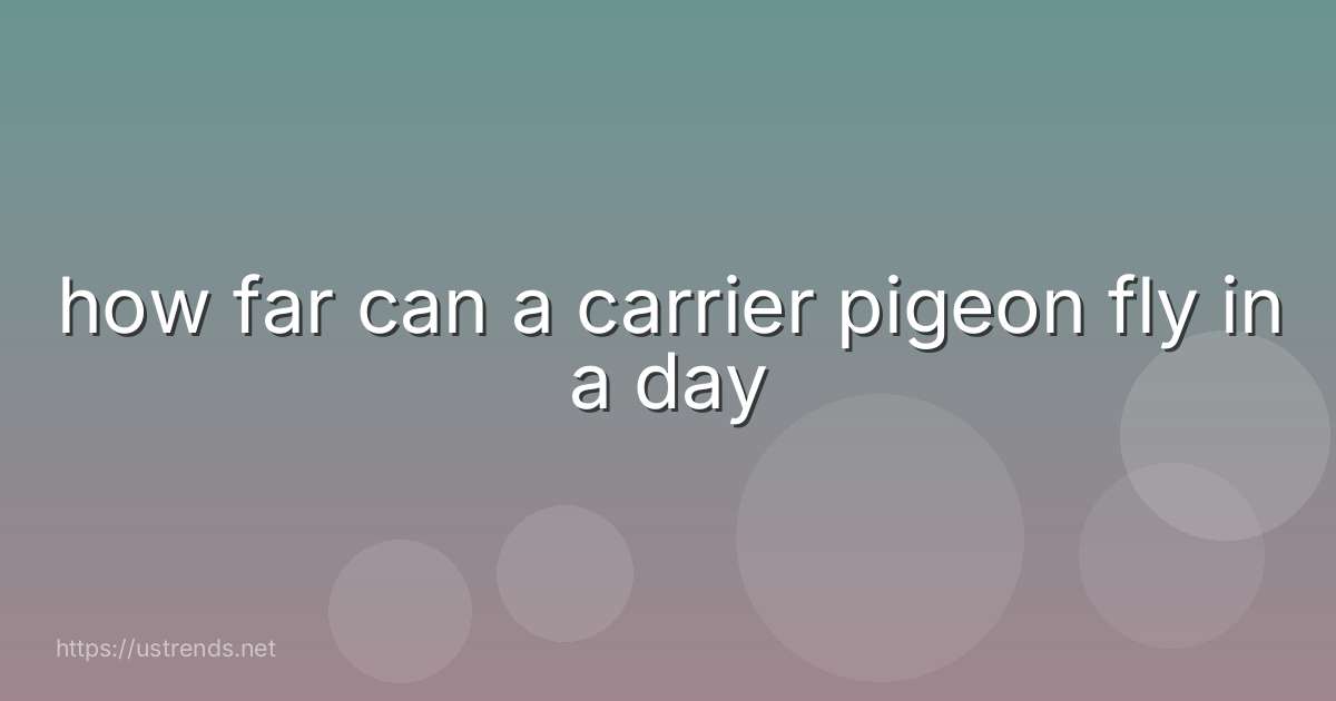 how far can a carrier pigeon fly in a day