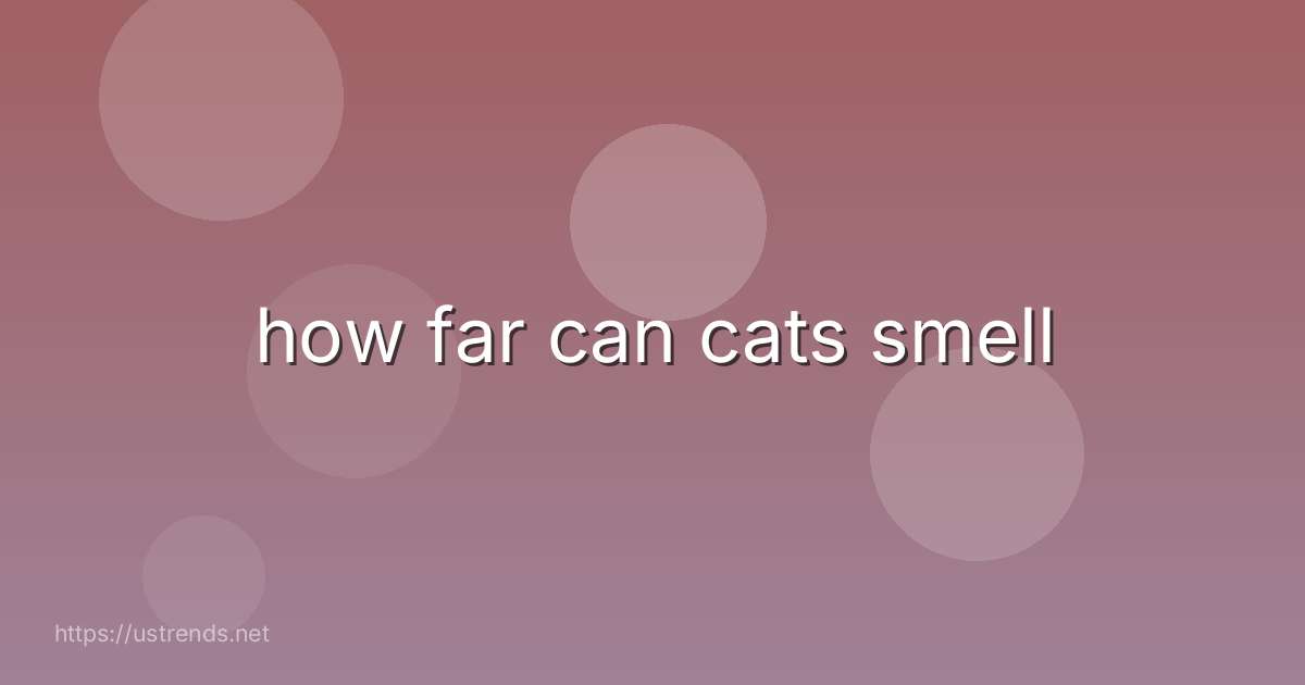 how far can cats smell