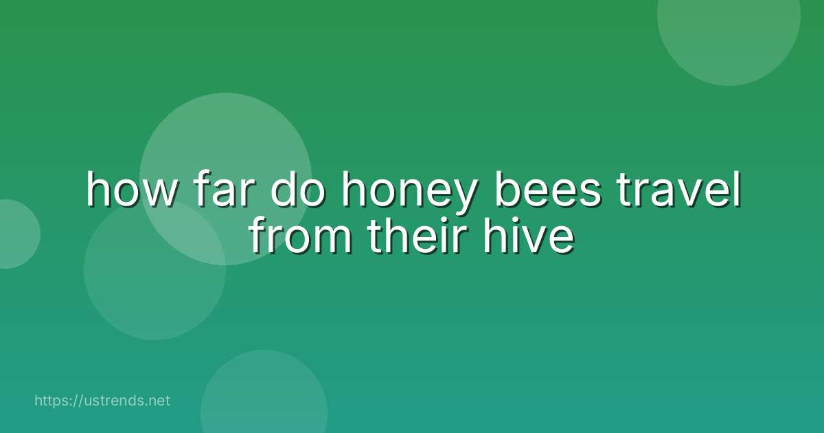 how far do honey bees travel from their hive