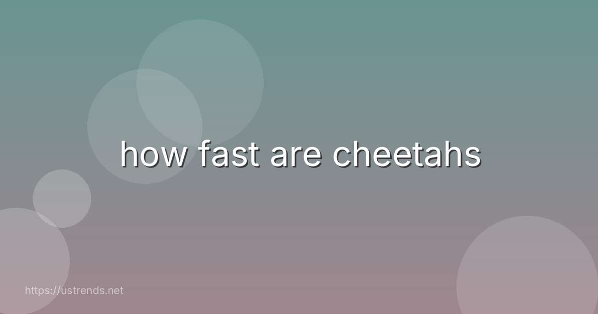 how fast are cheetahs