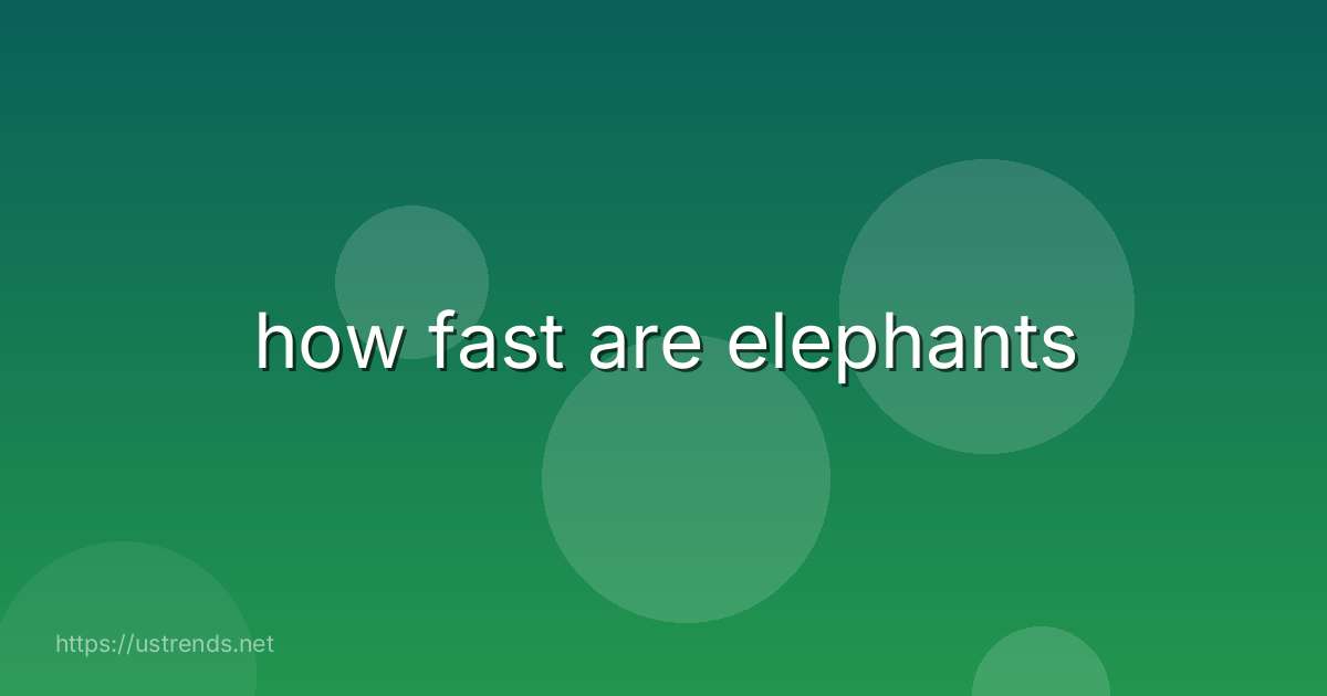 how fast are elephants