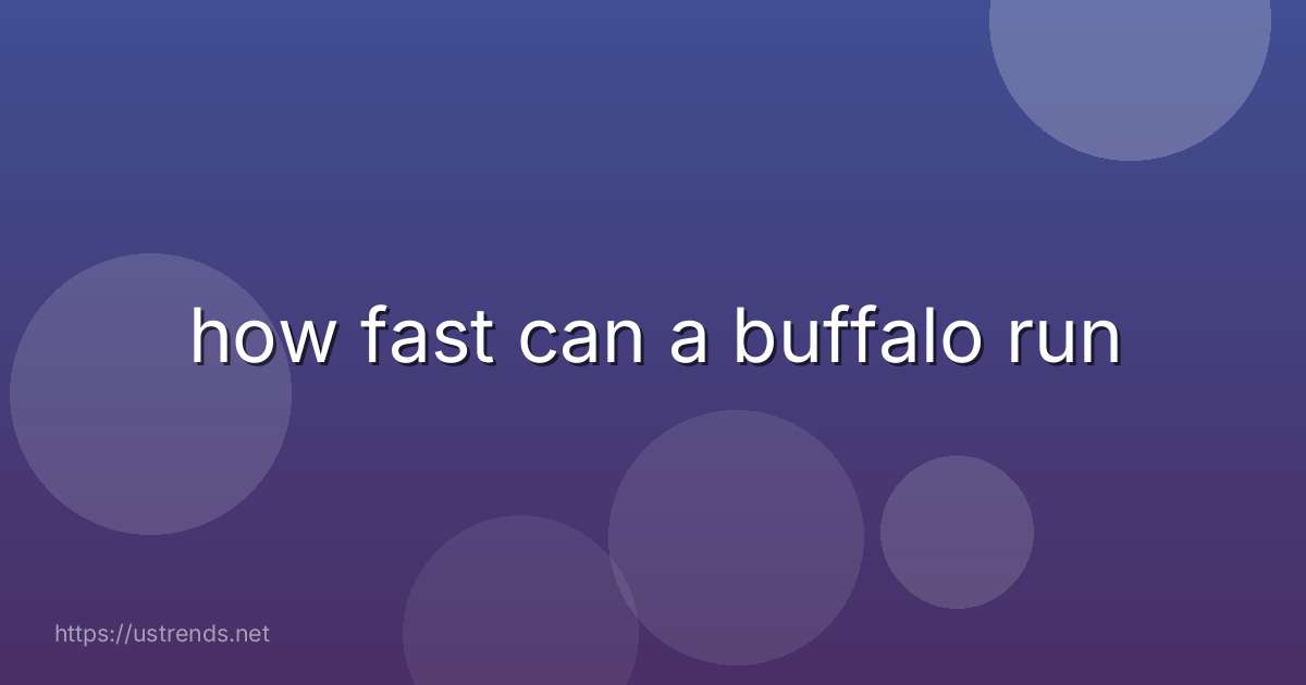 how fast can a buffalo run