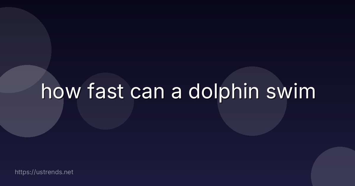 how fast can a dolphin swim