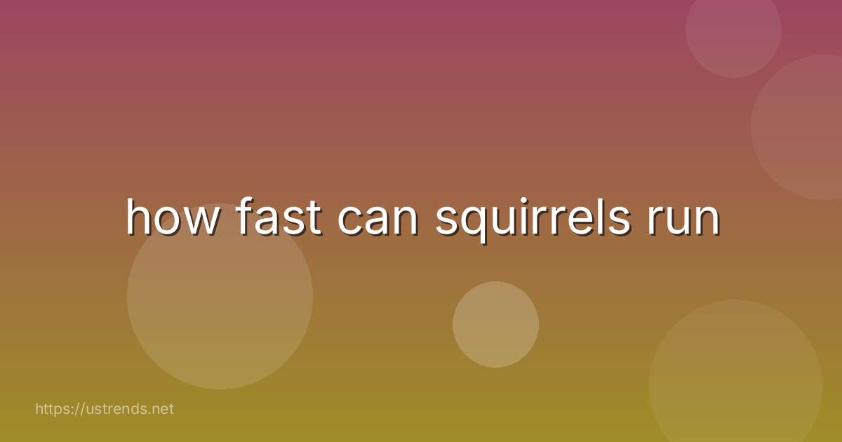 how fast can squirrels run
