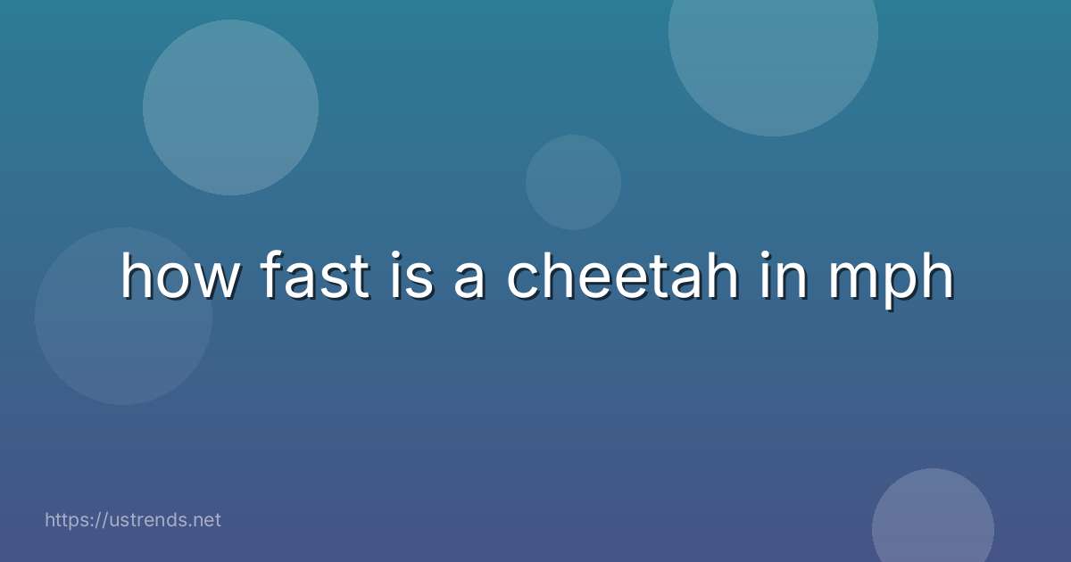 how fast is a cheetah in mph