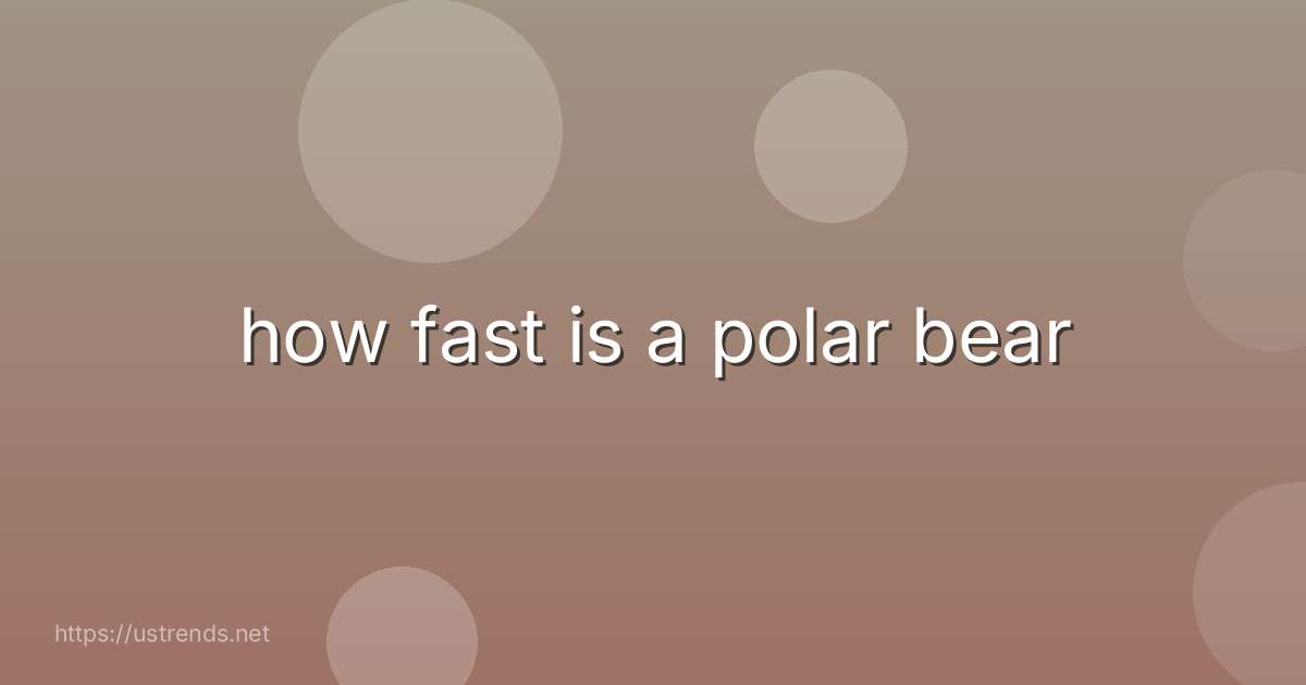 how fast is a polar bear