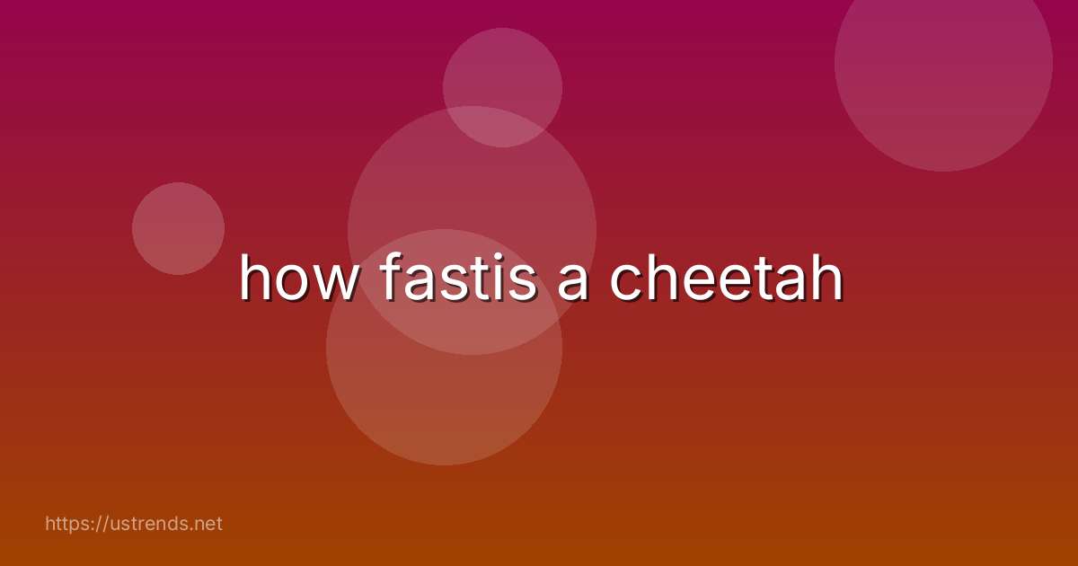 how fastis a cheetah