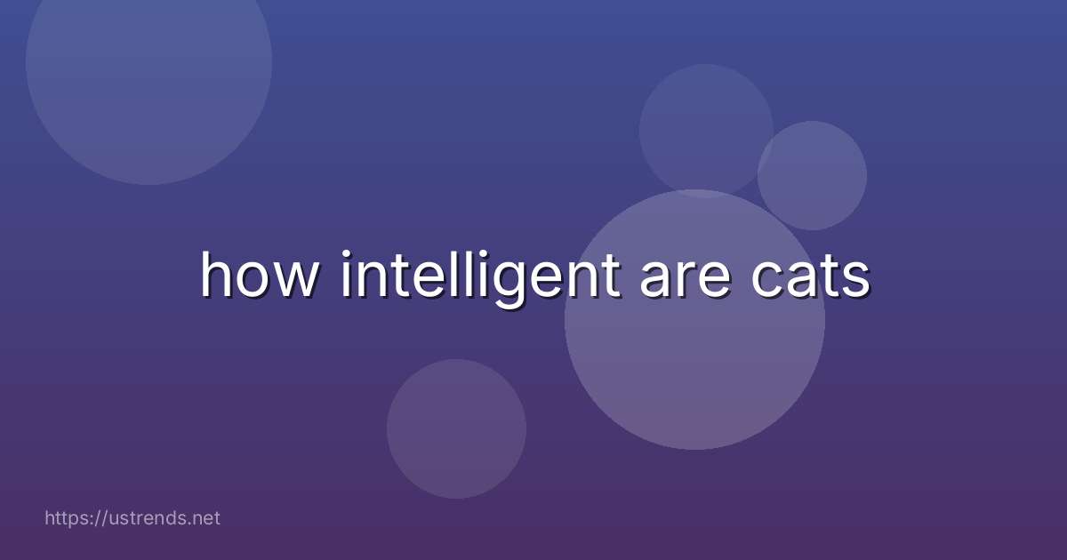 how intelligent are cats