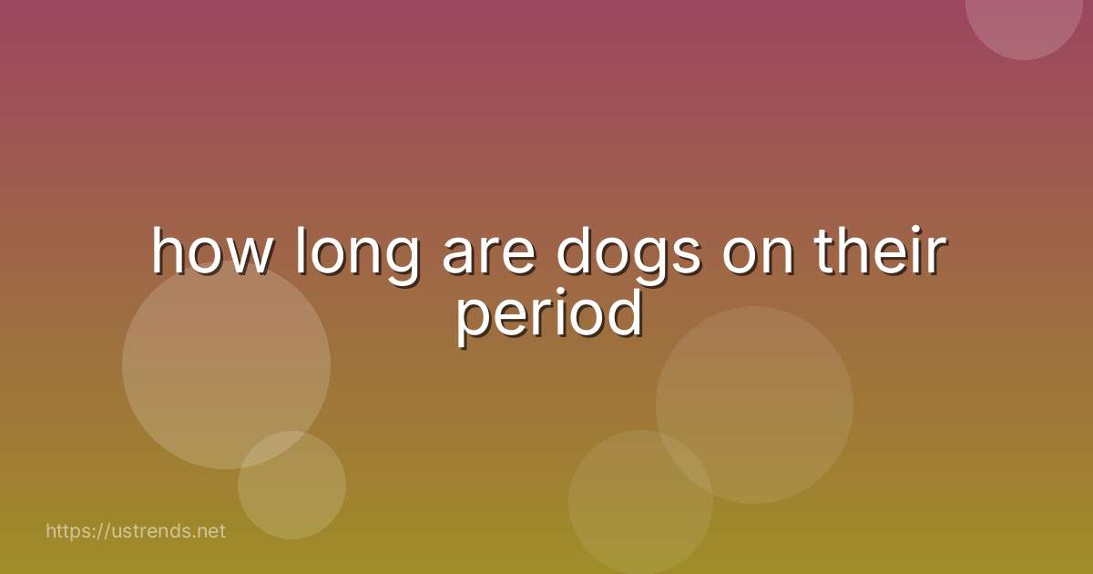 how long are dogs on their period