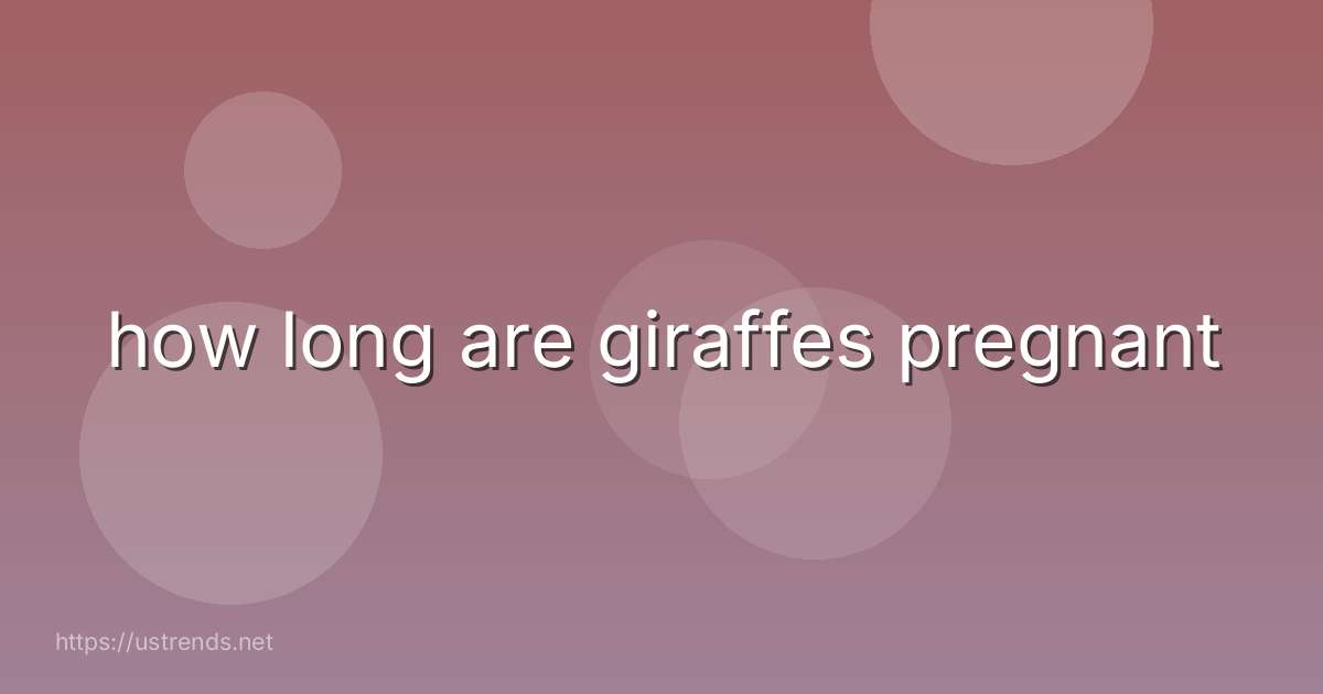 how long are giraffes pregnant