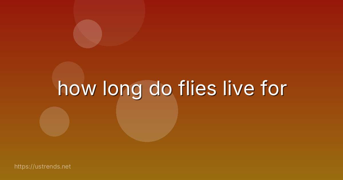 how long do flies live for