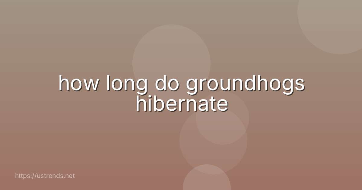 how long do groundhogs hibernate