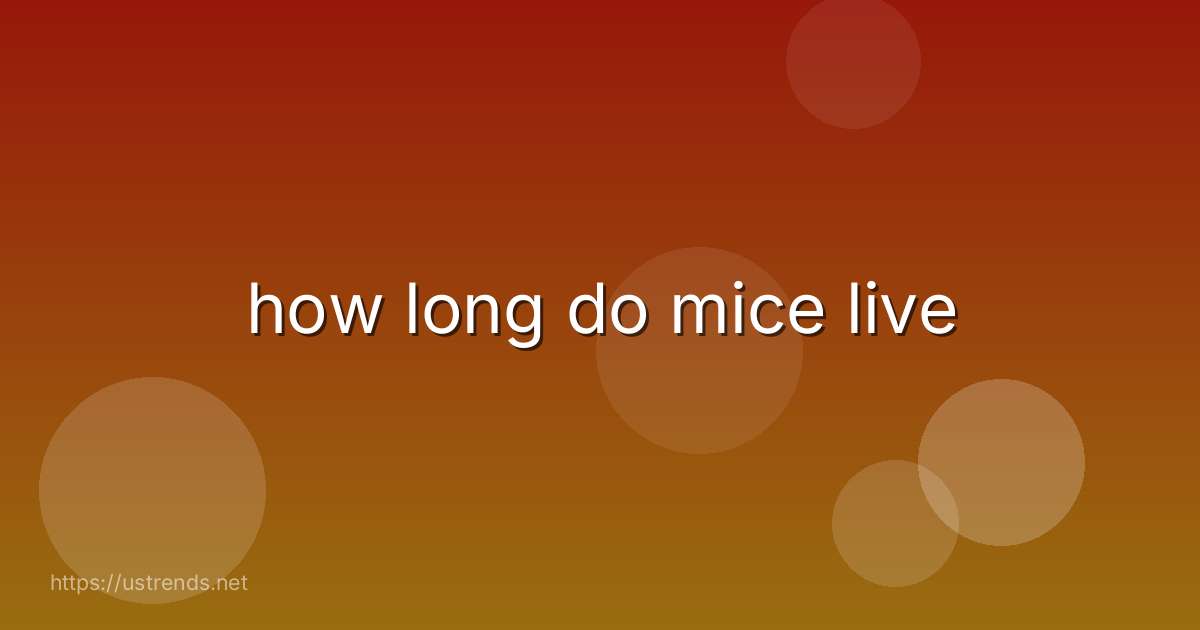 how long do mice live