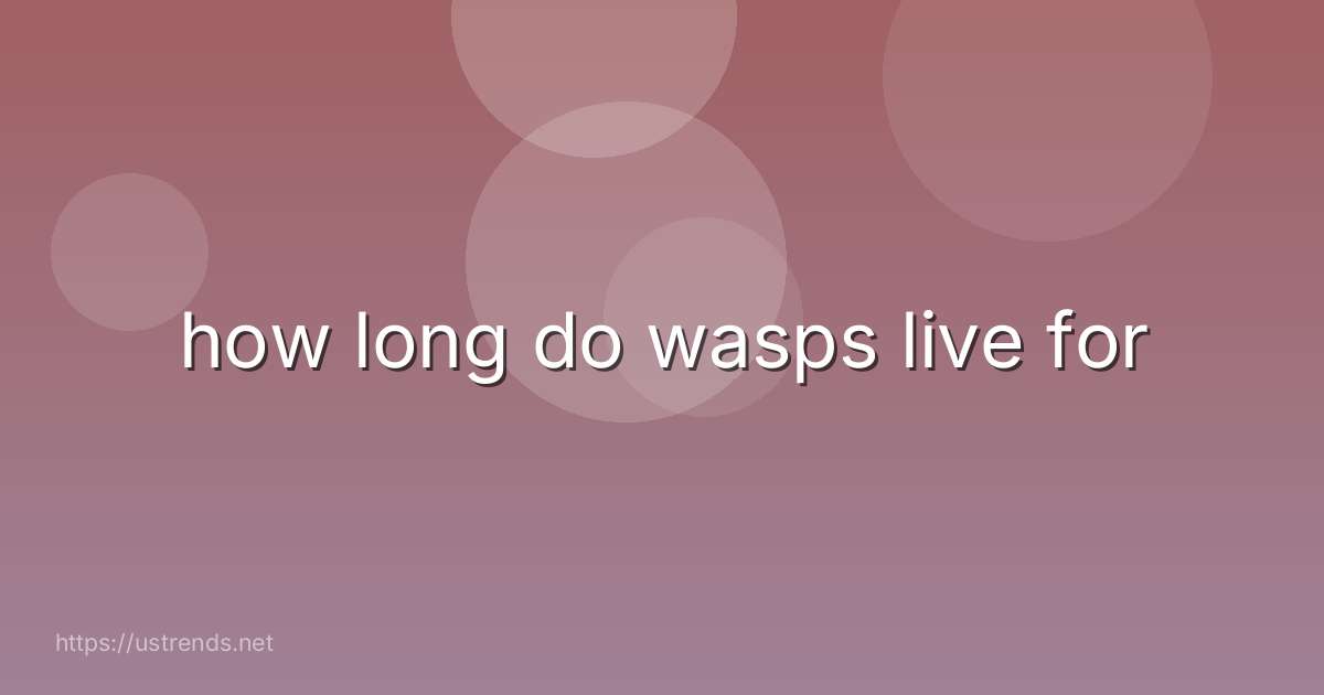 how long do wasps live for