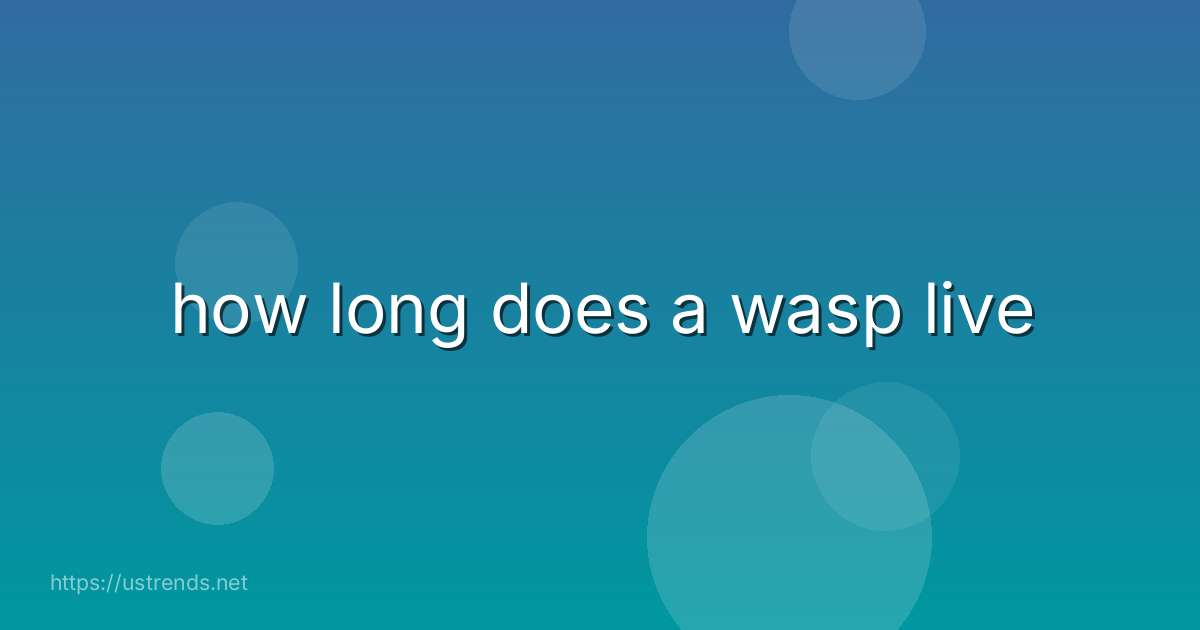 how long does a wasp live