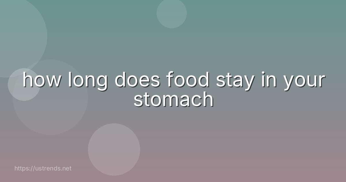 how long does food stay in your stomach