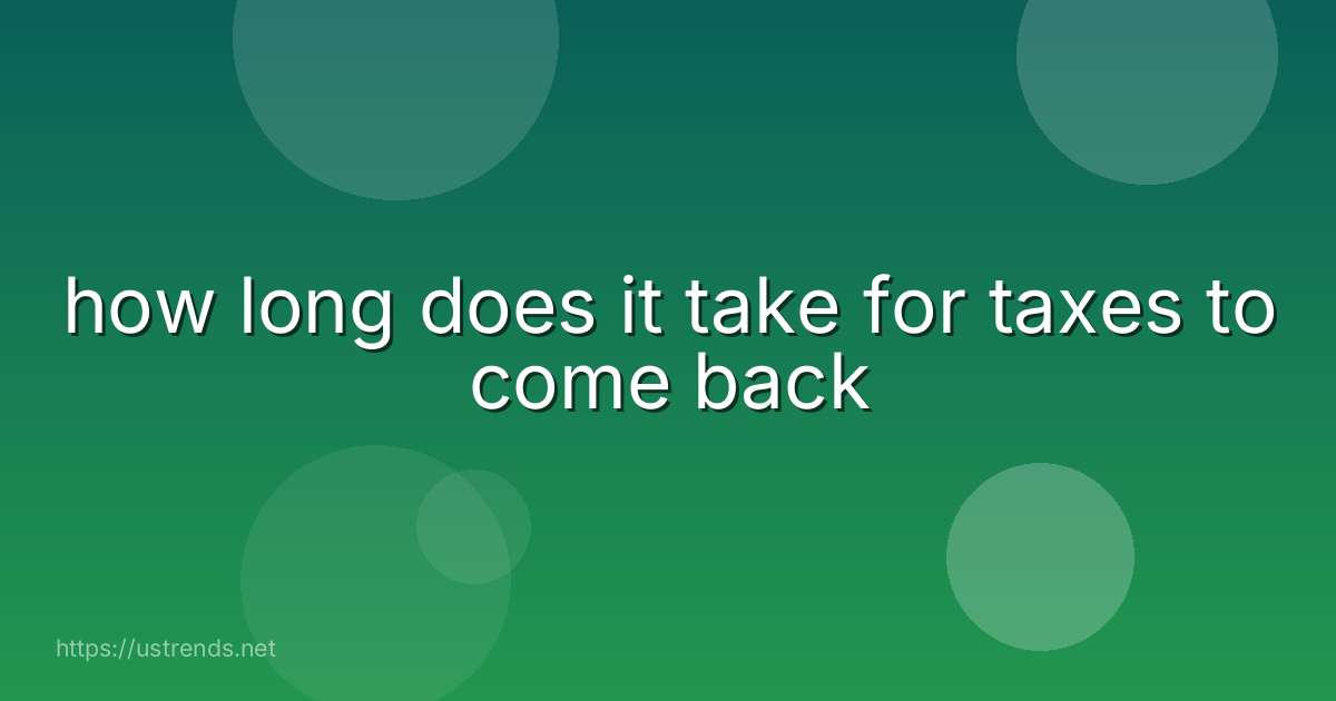 how long does it take for taxes to come back