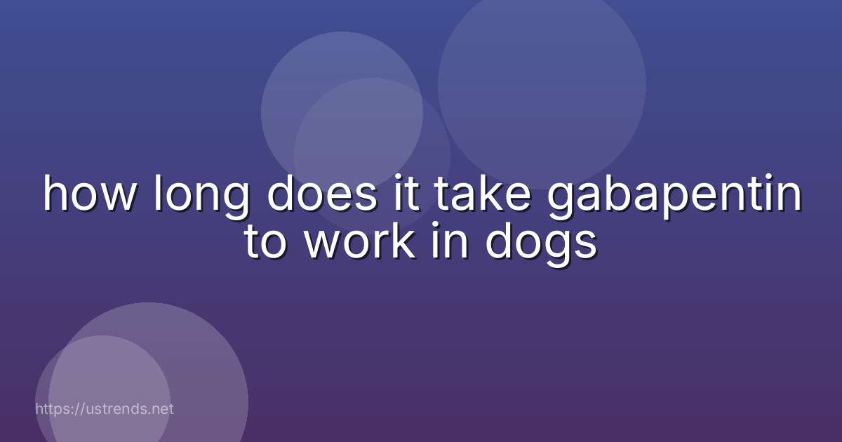 how long does it take gabapentin to work in dogs