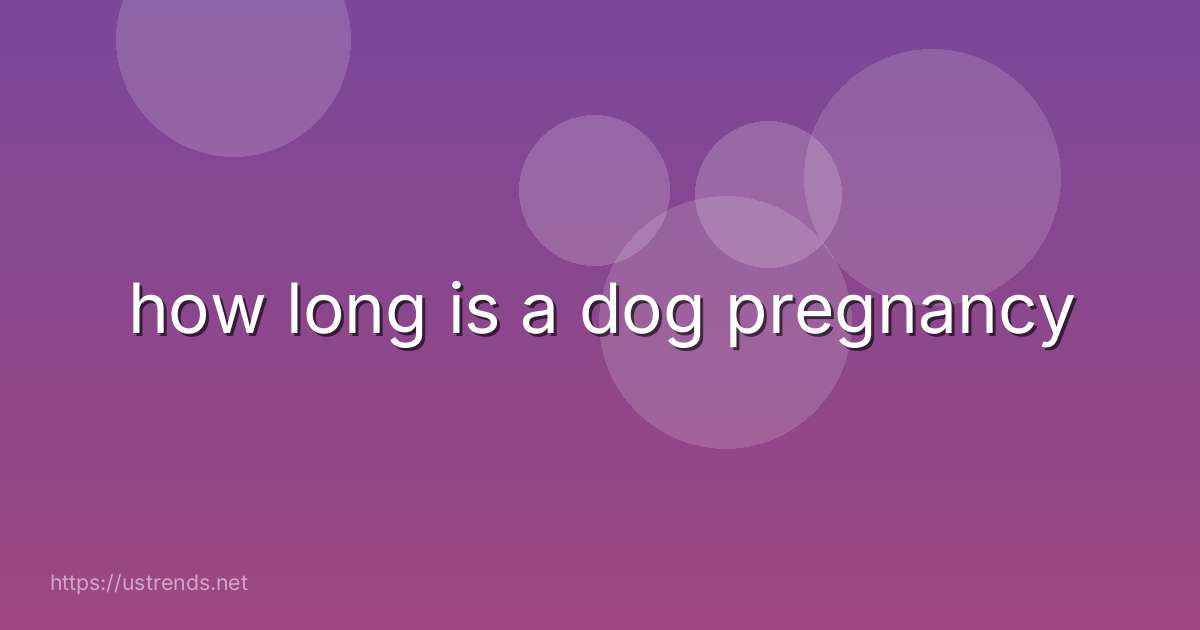 how long is a dog pregnancy