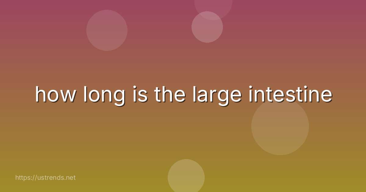 how long is the large intestine
