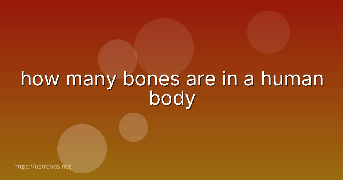 how many bones are in a human body