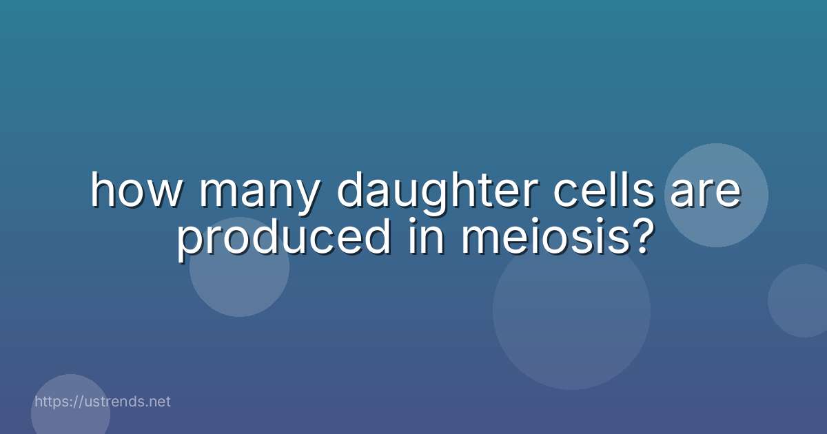 how many daughter cells are produced in meiosis?
