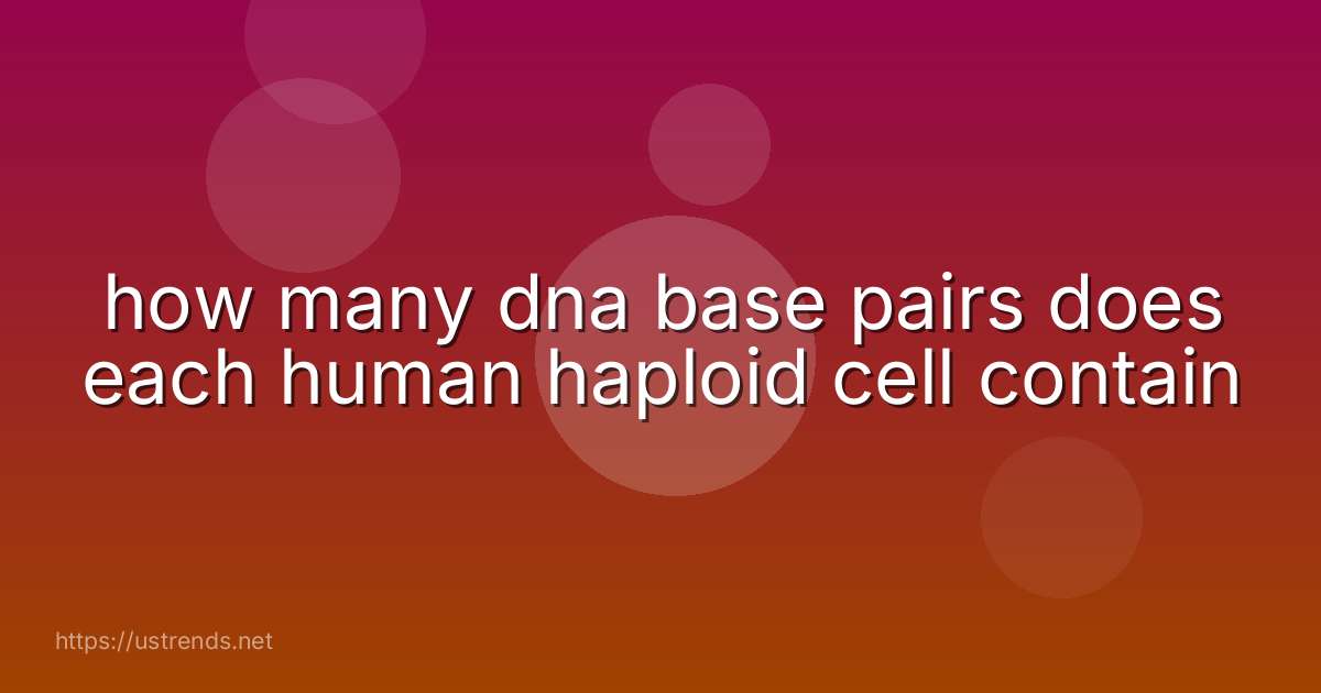 how many dna base pairs does each human haploid cell contain
