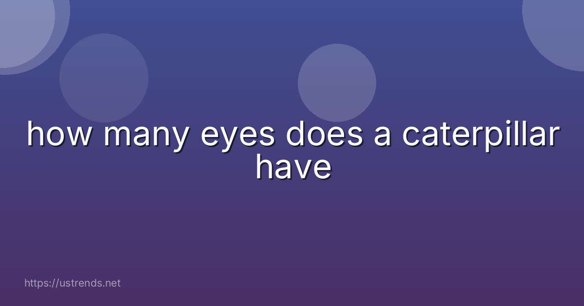 how many eyes does a caterpillar have