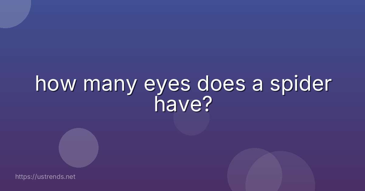 how many eyes does a spider have?