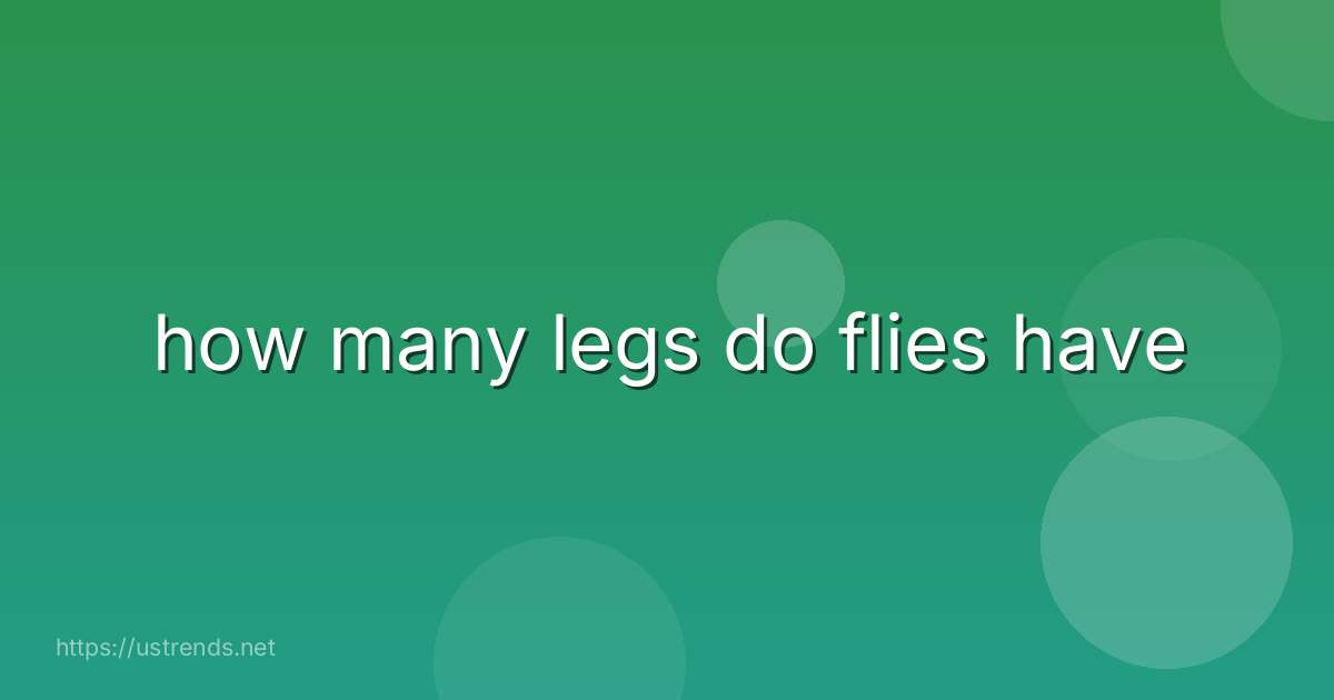 how many legs do flies have