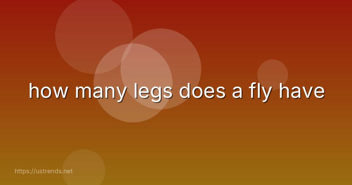 how many legs does a fly have