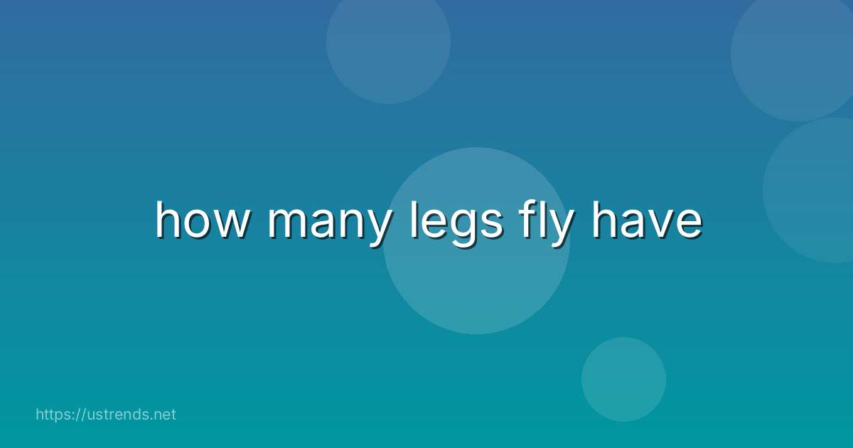 how many legs fly have