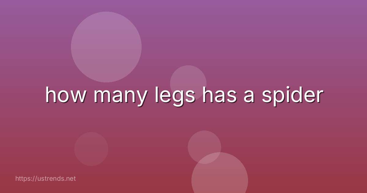 how many legs has a spider