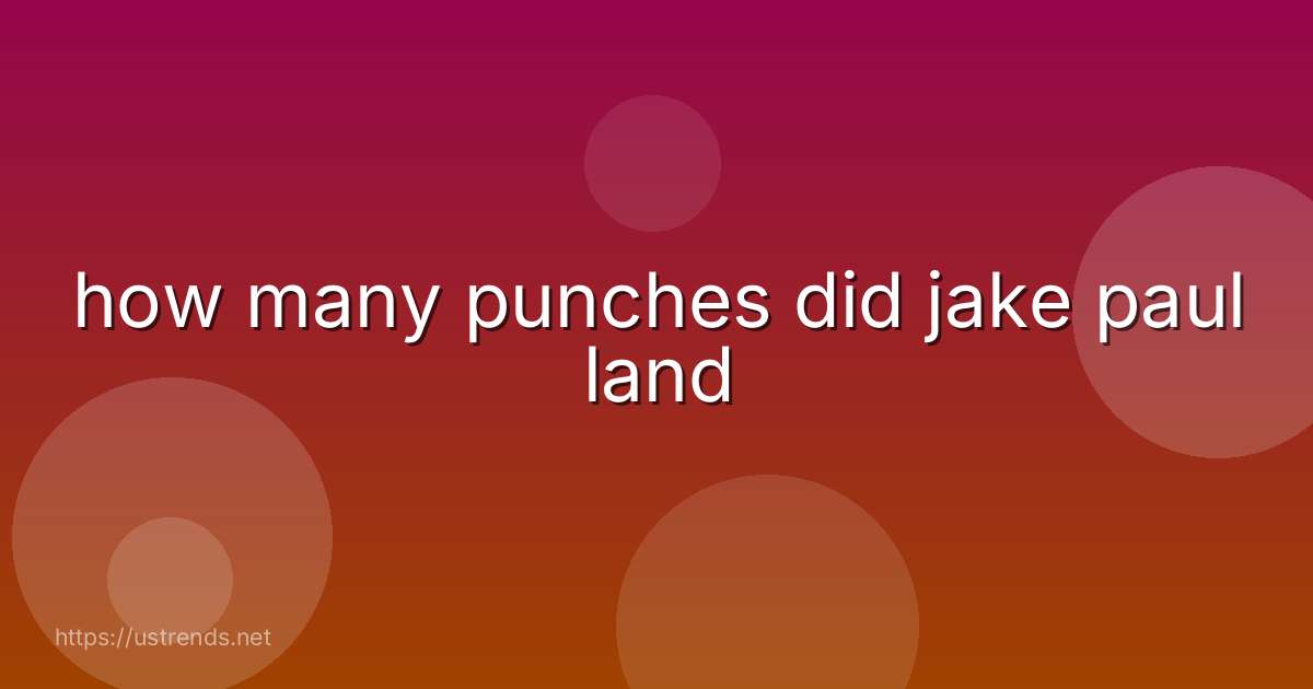 how many punches did jake paul land