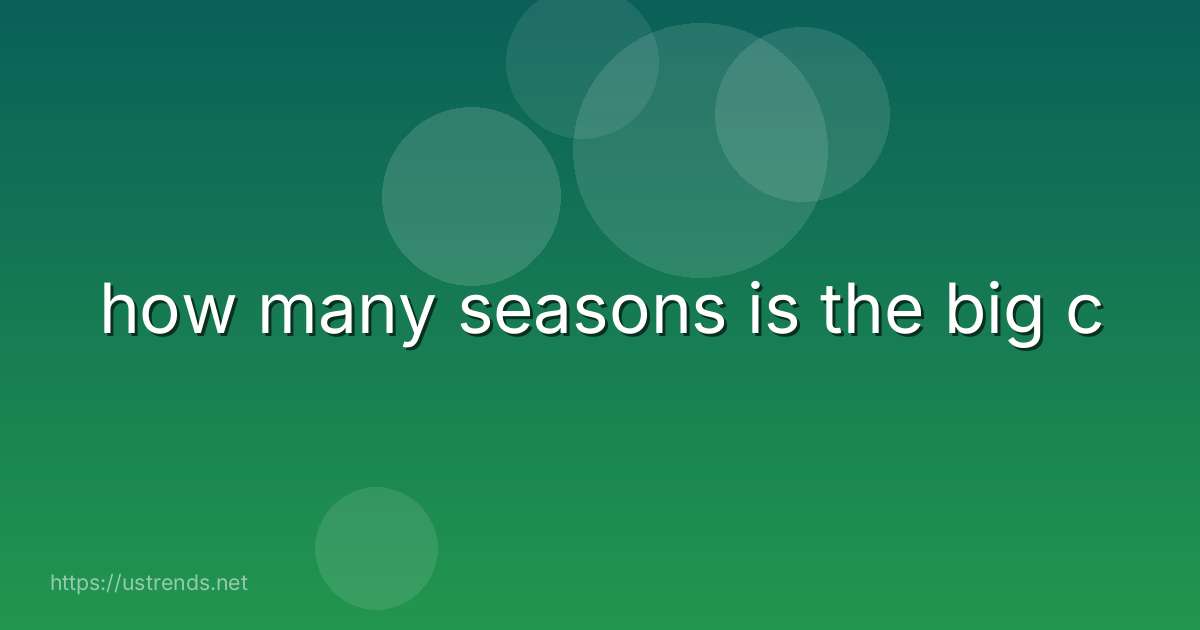 how many seasons is the big c