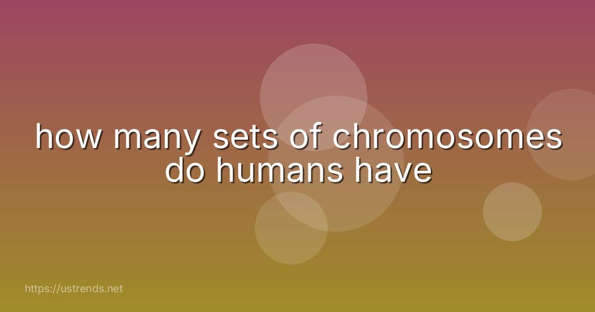 how many sets of chromosomes do humans have