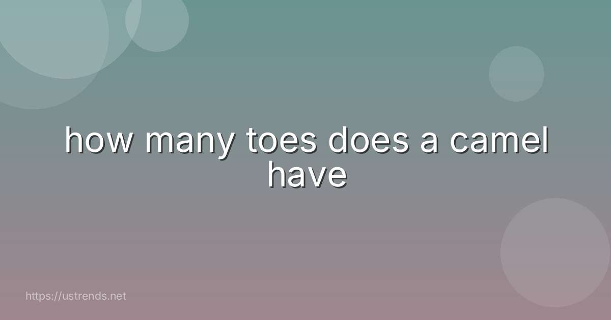 how many toes does a camel have