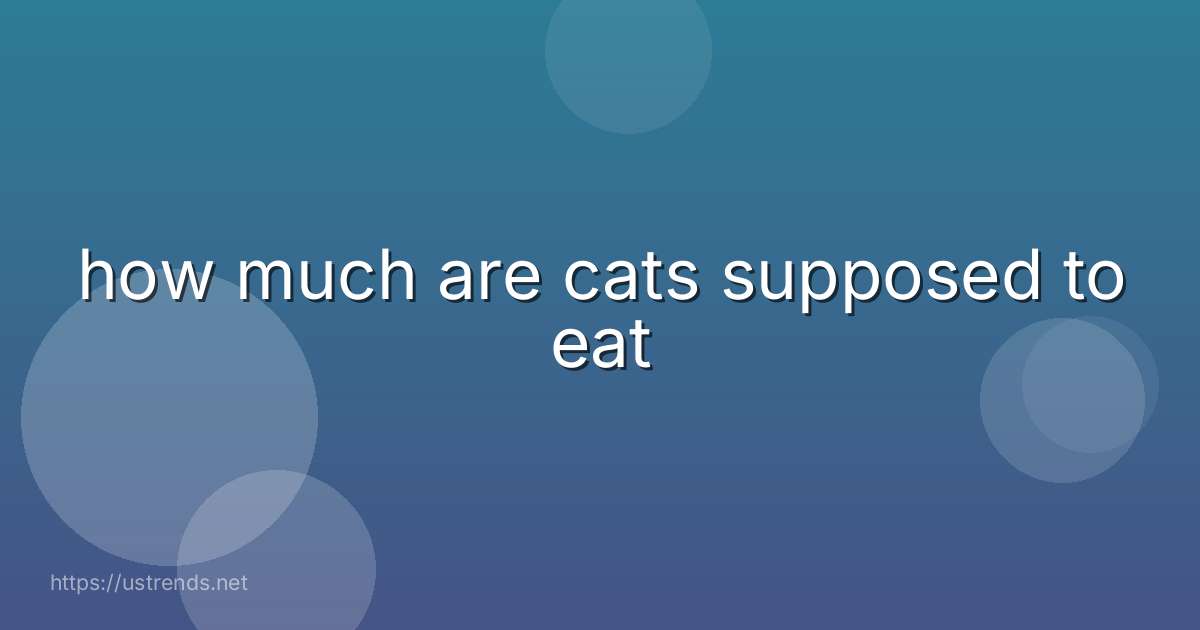 how much are cats supposed to eat