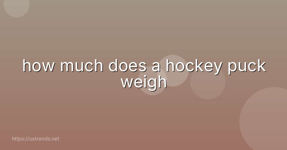 how much does a hockey puck weigh