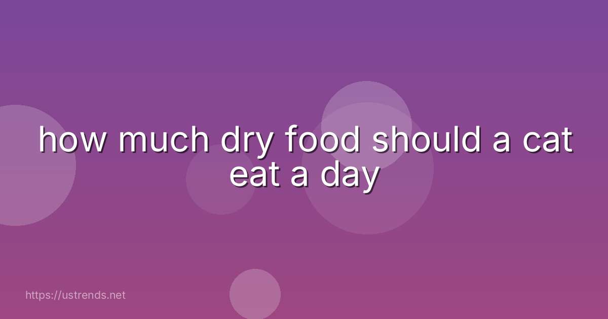 how much dry food should a cat eat a day