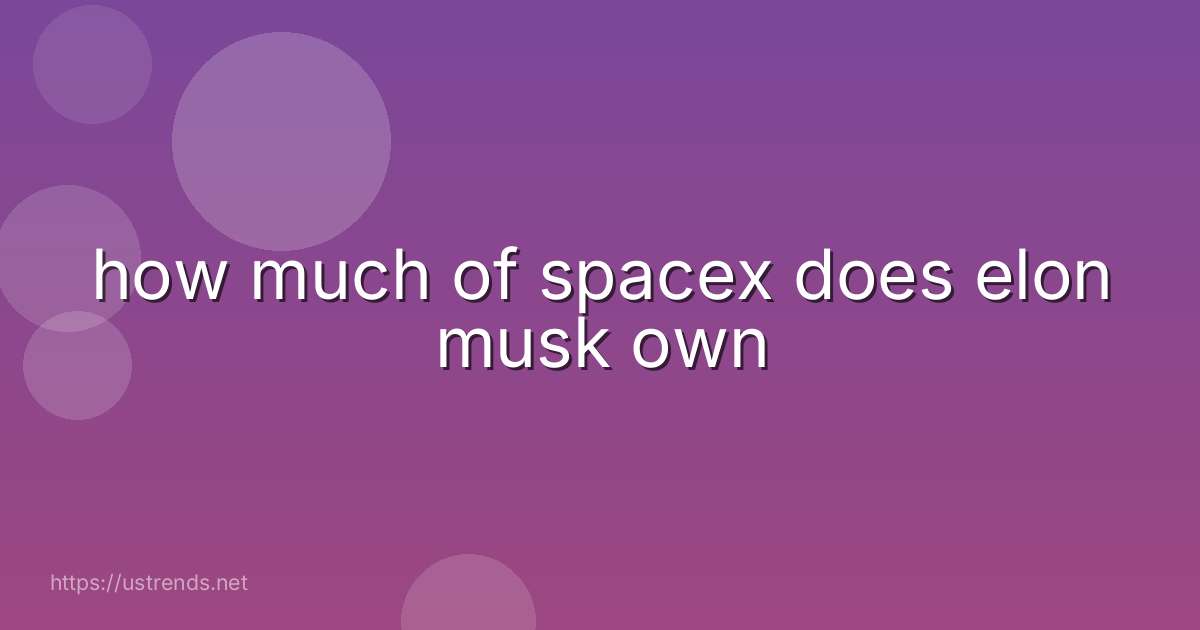 how much of spacex does elon musk own