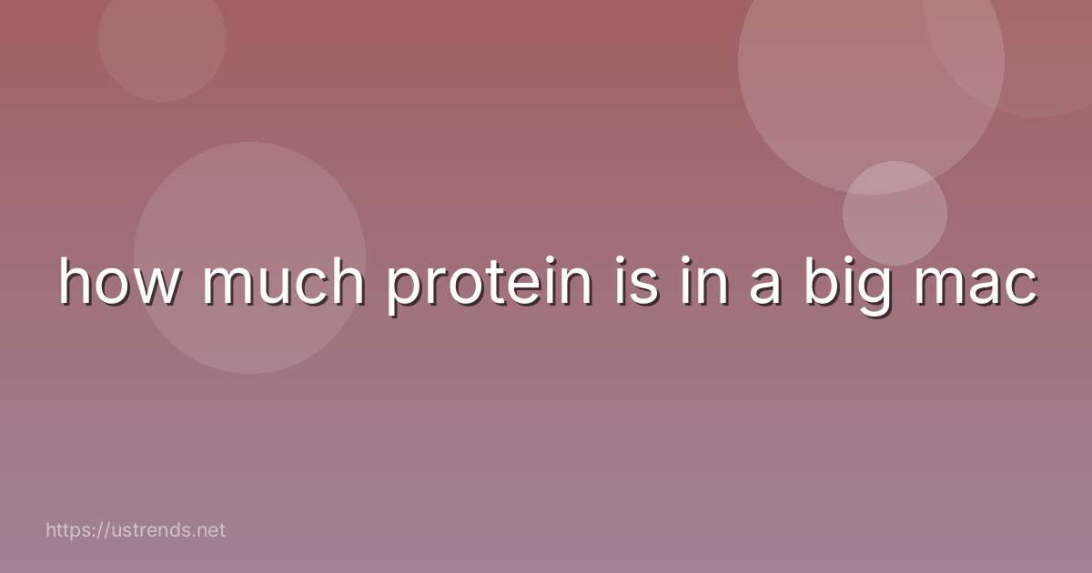 how much protein is in a big mac