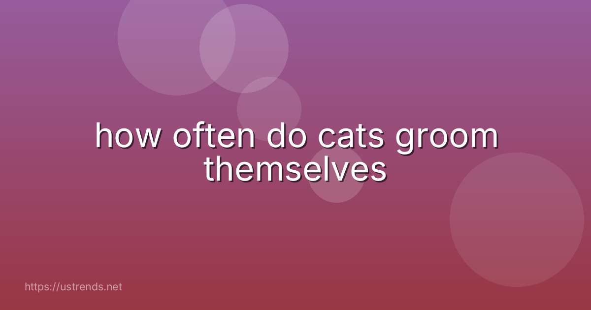 how often do cats groom themselves