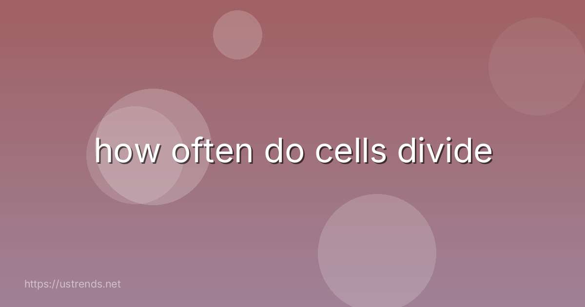 how often do cells divide